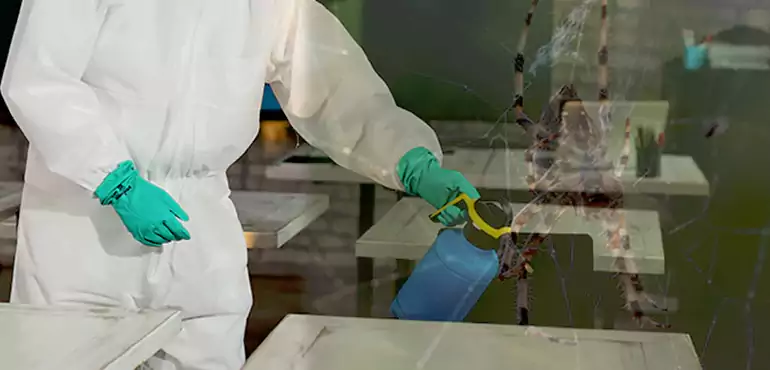 Why Buyers Still Want Homes With Pest Infestations in Staten Island, NY?