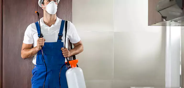 Why Staten Island Homeowners Choose Us When Pests Make Selling Difficult